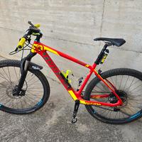 MTB Torpado RIBOT N carbonio 29 TG L serie limitat