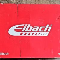 molle eibach sportline