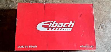 molle eibach sportline