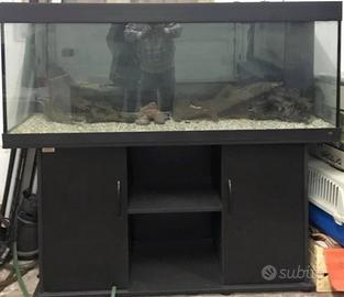 Acquario Juwel Rio 400 Litri + Accessori