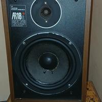 casse acustiche AR 18S 