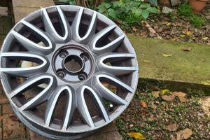 cerchi in lega da 16 usati