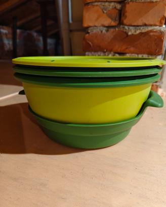 micro gourmet tupperware