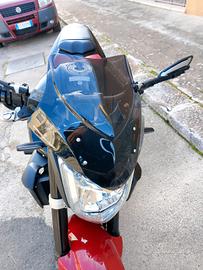 cupolino Yamaha fz1 