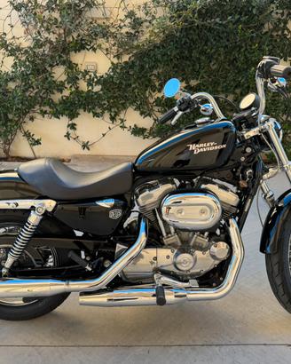 Harley sportster 883