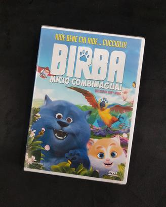 Dvd Film Birba Micio Combinaguai