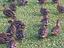 Immagine 6