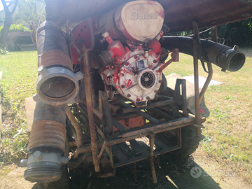 Motopompa vintage BACHERT su carrello-irrigazione
