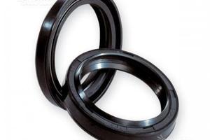 Coppia paraolio forcella ariete piaggio liberty