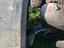 Immagine 8