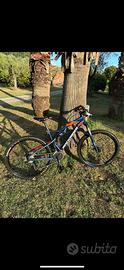 rockrider st540s