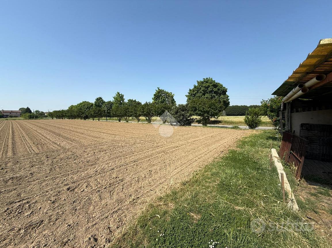 TER. AGRICOLO A MIRANO - Vista 4