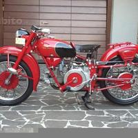 Moto Guzzi Altro modello - ANNI 50