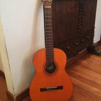 Chitarra classica Di Giorgio 1976