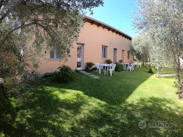 Case vacanza "Gli Ulivi" - Monolocale