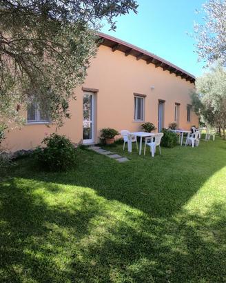 Case vacanza "Gli Ulivi" - Monolocale