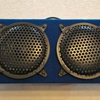 Altoparlante amplificato