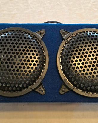 Altoparlante amplificato