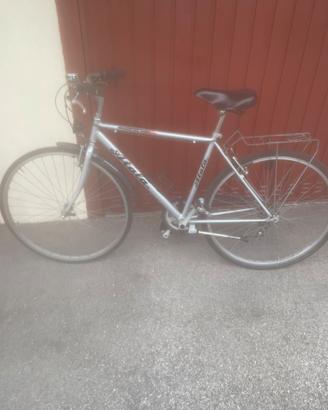 Bicicletta uomo
