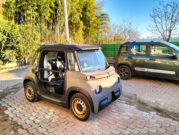Citroen Ami Buggy