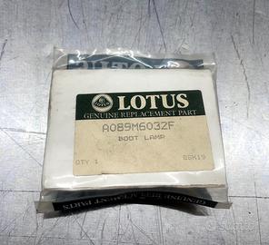 LOTUS LAMPADA BAGAGLIAIO A089M6032F BOOT LAMP ILLU