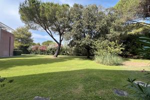 Grazioso monolocale con giardino, 1 - 8/08