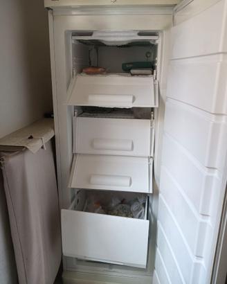 Freezer/congelatore