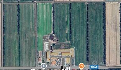 Terreni irrigui seminativi