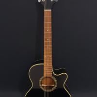 Takamine G-Series Elettroacustica
