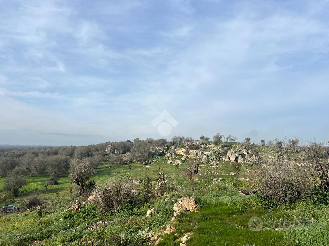 RUSTICO A ORIA - Vista 5