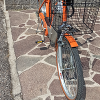Bici elettrica