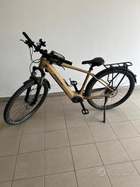 e bike