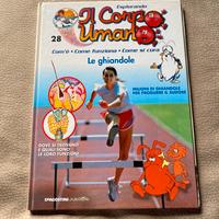 Esplorando il corpo umano le ghiandole