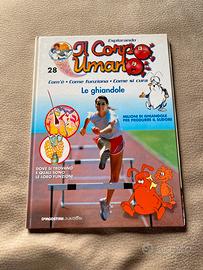 Esplorando il corpo umano le ghiandole