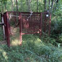 gabbia cattura cinghiale 