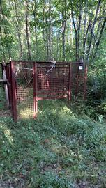 gabbia cattura cinghiale 