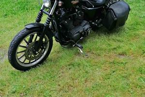 HARLEY DAVIDSON 1200 NIGTHSTER