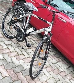 bicicletta olimpia