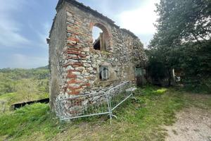 RUSTICO A PIEVE A NIEVOLE