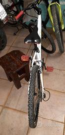 bici mtb