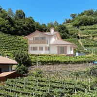 Terreno edificabile - Piazzo di Segonzano