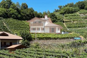 Terreno edificabile - Piazzo di Segonzano