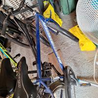 bici uomo frejus e bici donna 