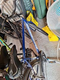bici uomo frejus e bici donna 