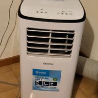 Climatizzatore port. Olimpia Splendid Dolceclima