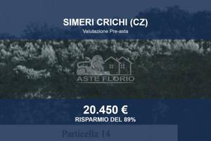 Immobile in asta di 70732 m² a Simeri Crichi