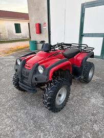 Quad 250cc non targato