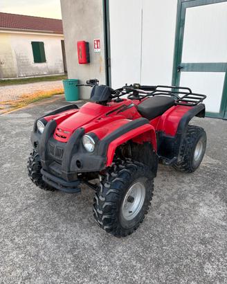 Quad 250cc non targato