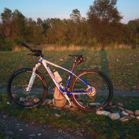 bici mtb carbonio 29"