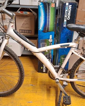 Bicicletta donna 16 pollici